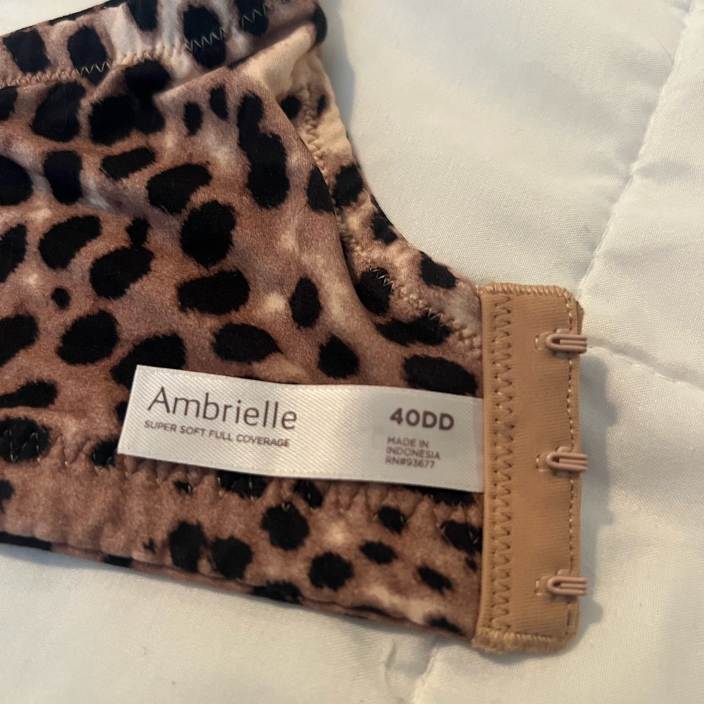 Ambrielle Bra Bundle - image 3